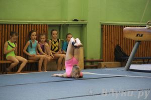 Открытый Кубок Псковской области по спортивной гимнастике