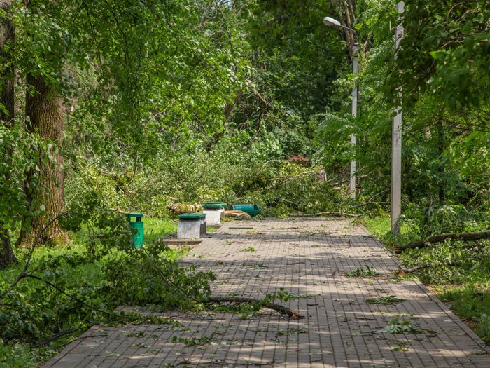 Небезразличные великолучане помогают убрать город после урагана (ФОТО)