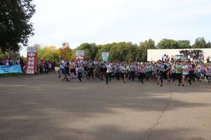 В Великих Луках прошёл «Кросс Нации-2018» (ФОТО)