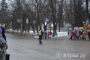 В Великих Луках установили новогоднюю елку (фото)