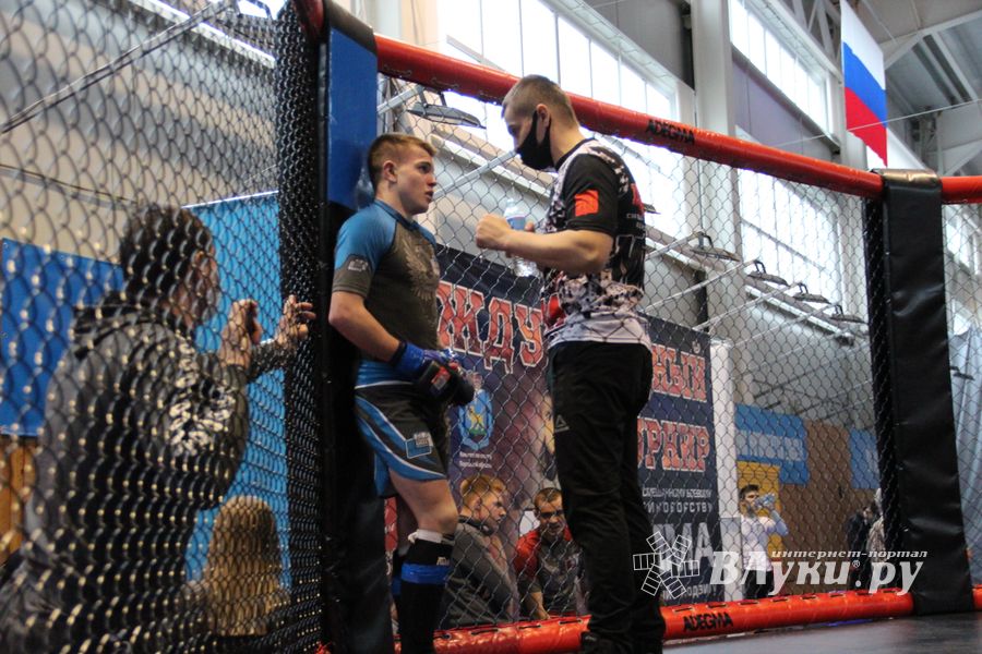 В Великих Луках прошел кубок по смешанному боевому единоборству (ФОТО)