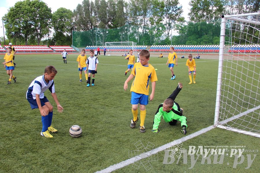 «Локобол-2013» в Великих Луках