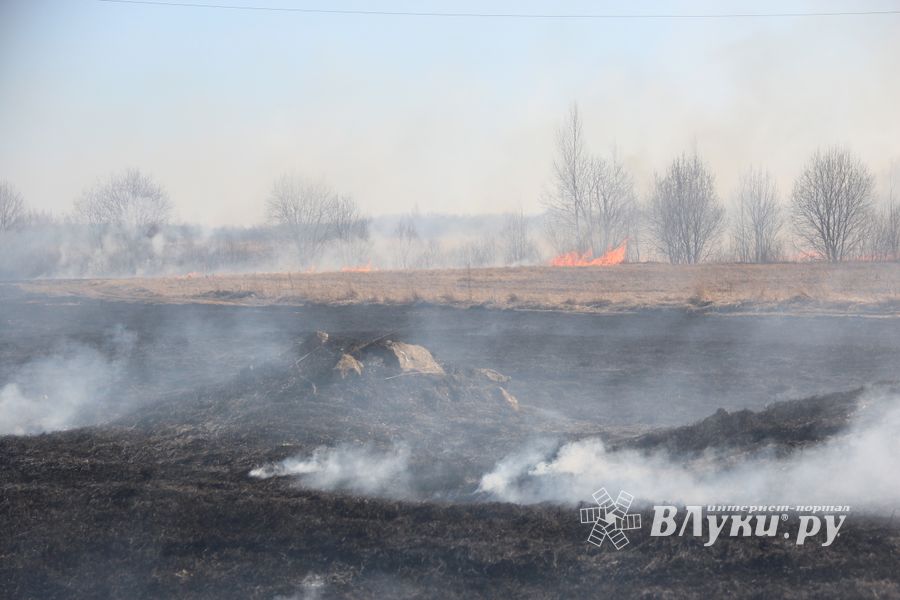 Великолукский район полыхает (ФОТО; ВИДЕО)