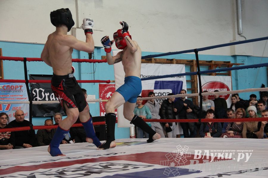 Открытый Кубок города Великие Луки по смешанному боевому единоборству (ММА)