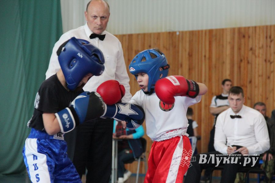 В Великих Луках проходит Кубок по кикбоксингу (ФОТО) (0+)