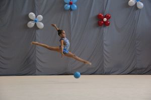 В Великих Луках прошли соревнования на Кубок Псковской области по художественной гимнастике (ФОТО)