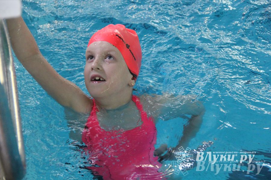 В Великих Луках прошли соревнования по плаванию «Весёлый дельфин»