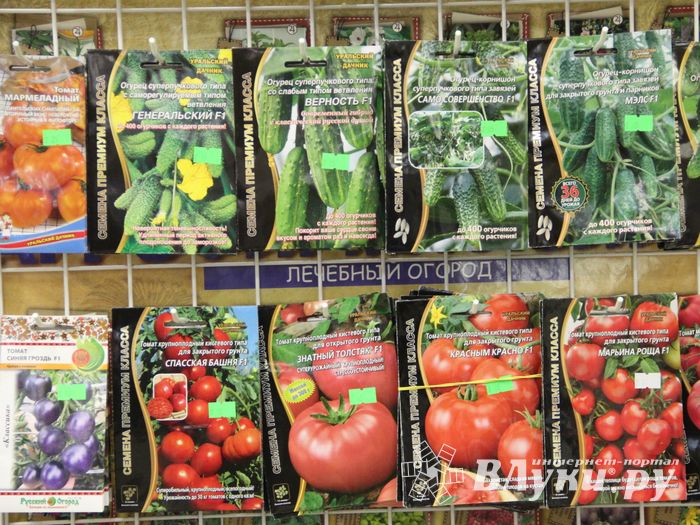 В ДК ЛК открылась 7-я Великолукская универсальная выставка (ФОТО, ВИДЕО)