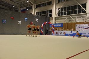 В Великих Луках проходит Кубок Псковской области по художественной гимнастике (ФОТО) (0+)