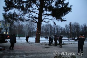 В Великих Луках установили новогоднюю елку (фото)
