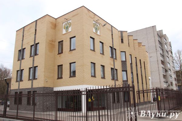 Великолучанин с непогашенной судимостью совершил кражу из сарая