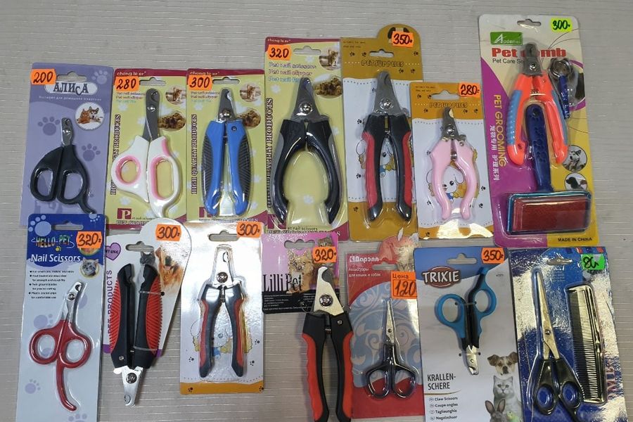 1 марта - ваш кот заслуживает подарок