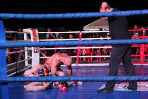 В Великих Луках прошли бои по смешанным боевым единоборствам ММА (фото)