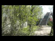 Импульс-ТВ: Наркополиция