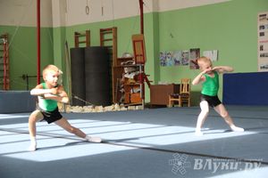 В Великих Луках состоялось Первенство по командной гимнастике (фото)