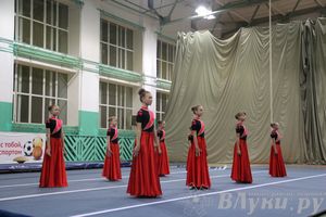 «Парад гимнастики» прошел в Великих Луках (фото)