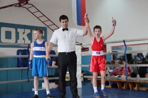В Великих Луках прошло Первенство города по боксу (ФОТО)