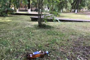 Парк Пушкина: «... А вкруг меня глухое запустенье...» (ФОТО)