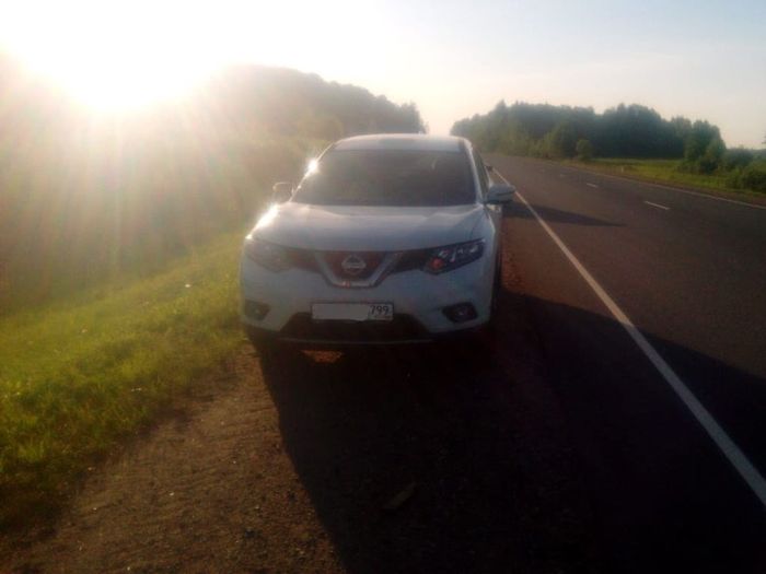 ДТП под Куньей – лось выскочил на машину (ФОТО)