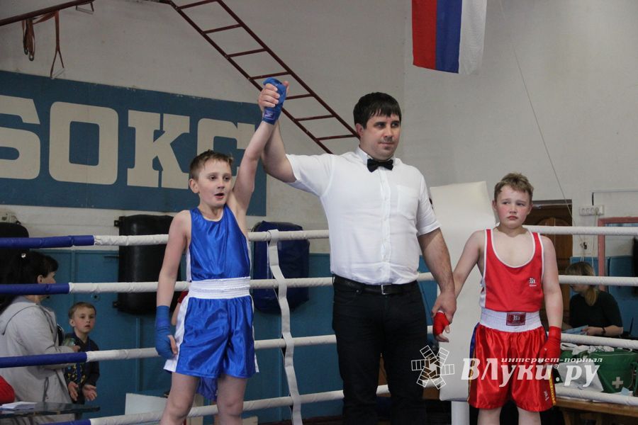 Юные великолучане выявили сильнейших боксёров (ФОТО)