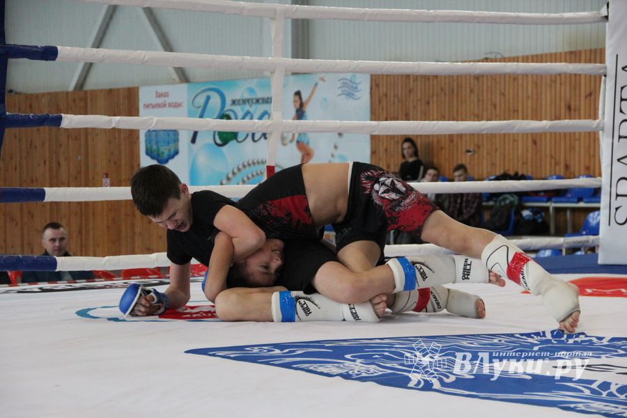 Открытый кубок по смешанному боевому единоборству ММА прошел в Великих Луках (ФОТО)