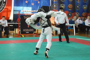 Студент ВГСХА стал бронзовым призером по боям кобудо (фото)