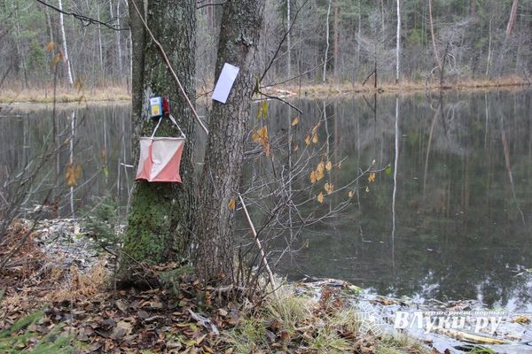 Около 200 участников готовятся выступить на традиционном соревновании по спортивному ориентированию в Псковской области