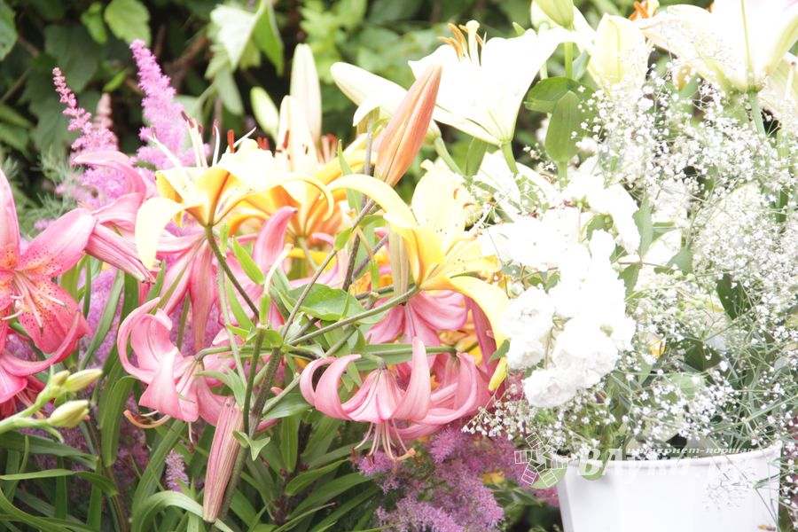 «Парад детских колясок» в День семьи, любви и верности (ФОТО)