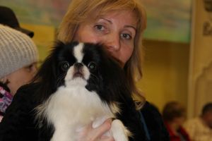 Всероссийская выставка собак в Великих Луках (фото)