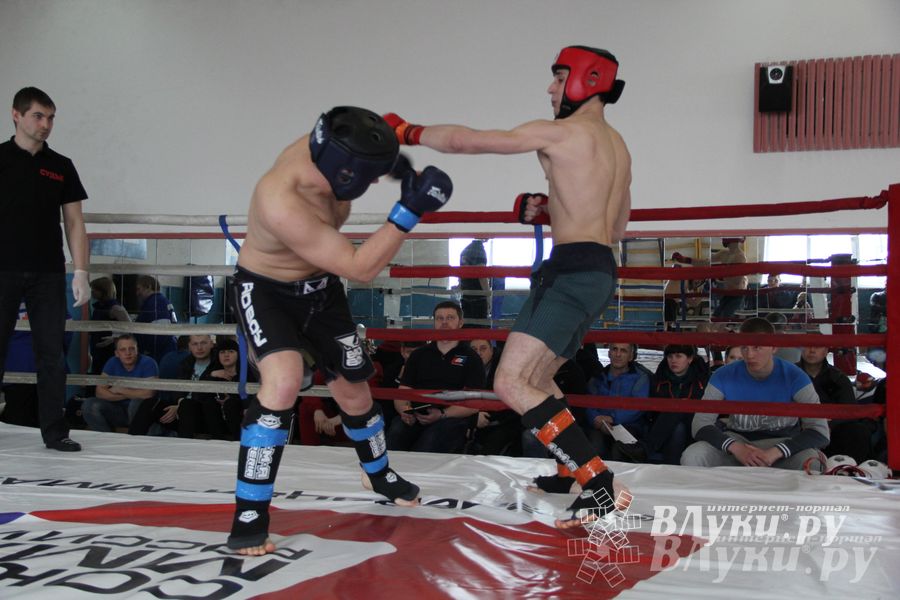 В Великих Луках прошел Чемпионат области по смешанному боевому единоборству (фото)