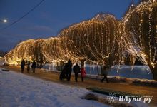 Псковский Роспотребнадзор напоминает важные правила выбора электрических гирлянд