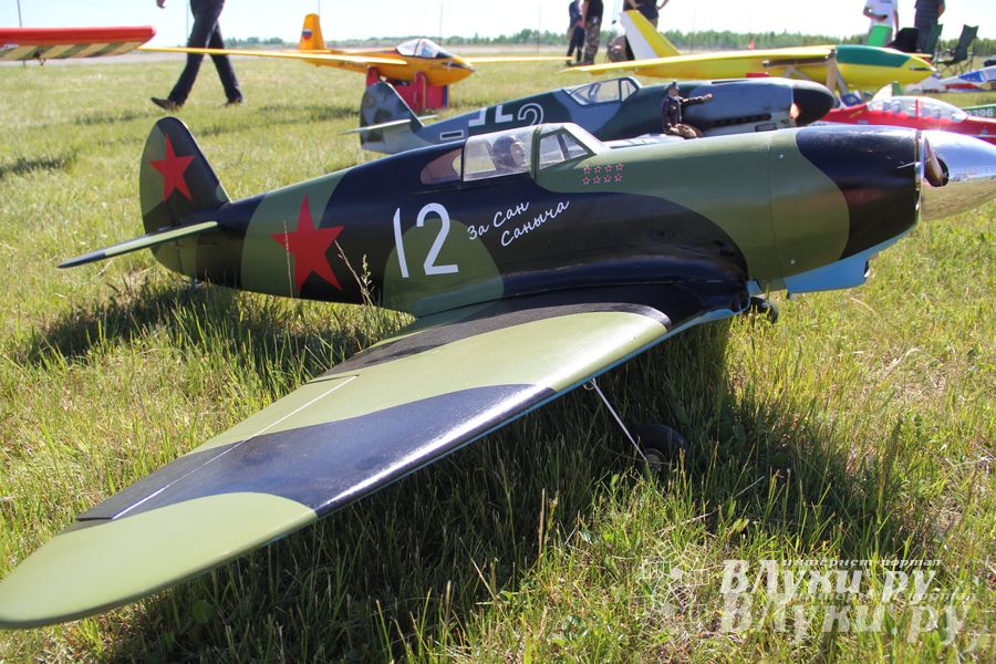 В Великих Луках прошел Фестиваль авиамодельного спорта (фото)