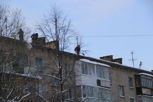 Смелые люди на крах Великих Лук