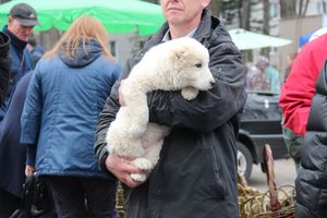 В Великих Луках прошла универсальная ярмарка «Весна-2019» (ФОТО)