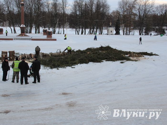 Главная городская ёлка отправилась на свалку (ФОТО)