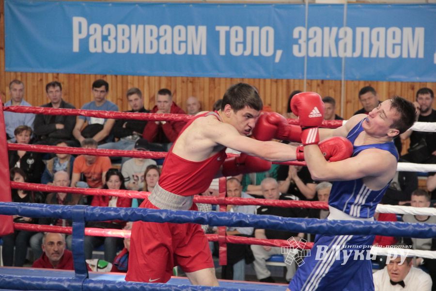 Матчевая встреча по боксу Великие Луки —Псков — Грозный (ФОТО)