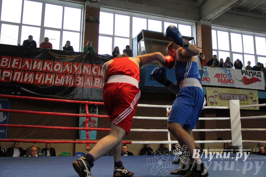 16-й Международный турнир по боксу (фото)