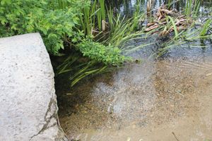 «Партия Дела» делает дело