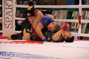 Открытый кубок по смешанному боевому единоборству ММА прошел в Великих Луках (ФОТО)