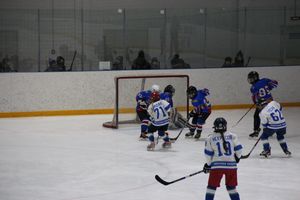 В Великих Луках прошел детский Открытый турнир по хоккею (ФОТО)