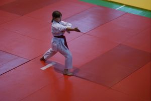 В Великих Луках прошли соревнования по каратэ (ФОТО)