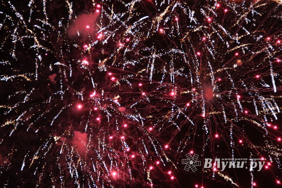 В Великих Луках зажглась новогодная ёлка (ФОТО)