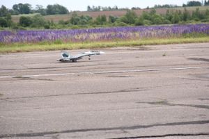 В Великих Луках проходит 7-й Фестиваль авиамодельного спорта (ФОТО)