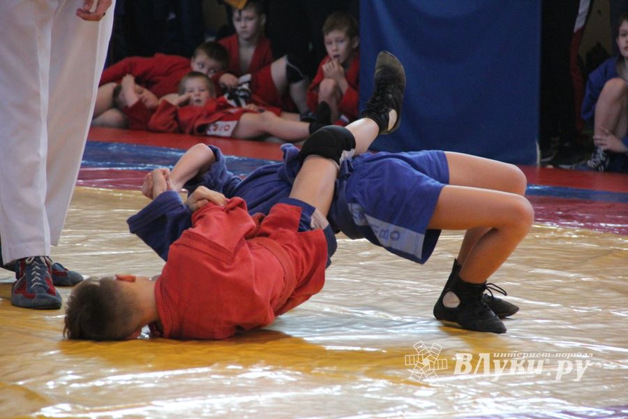 Великолучане завоевали награды турнира по самбо «Память» (ФОТО)