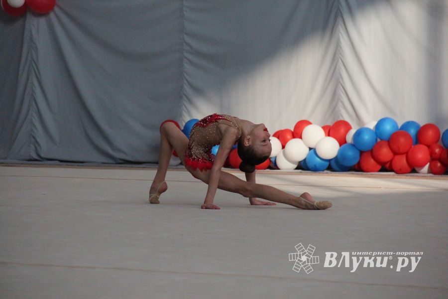 ​В Великих Луках проходят соревнования по художественной гимнастике (ФОТО) (6+)