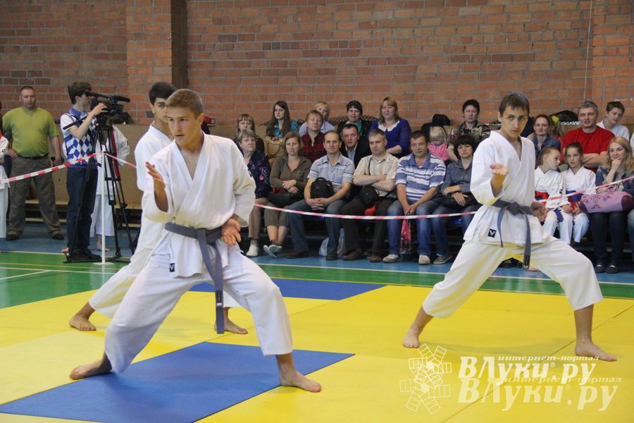 Великолучане стали победителями турнира по каратэ «Неприкосновенный запас, дети — Отчизны 2015» (фото)