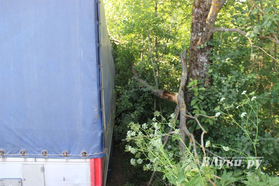 В страшном ДТП под Куньей погибли бабушка, дедушка и внучка (ФОТО)