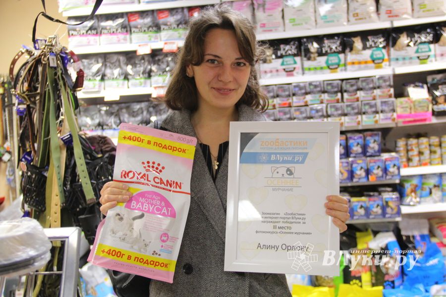 Победители фотоконкурса «Осеннее мурчание» награждены (ФОТО)