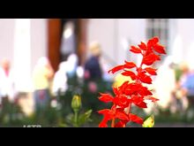 Импульс-ТВ: Вознесенскому собору – 20 лет