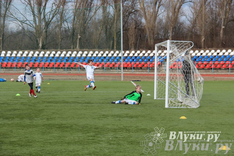 В Великих Луках прошел международный детский турнир по футболу «Наши надежды»